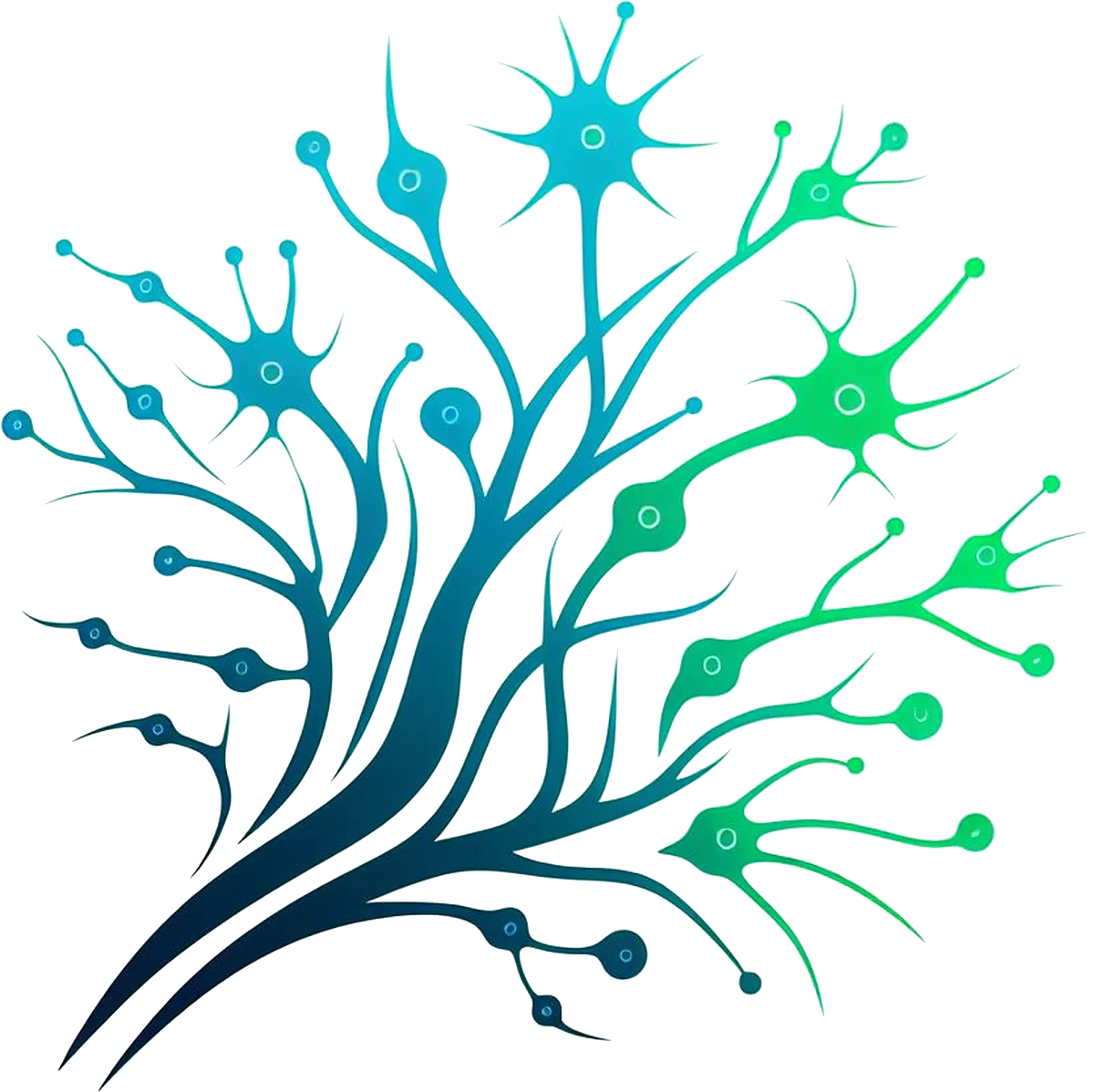 Synapses