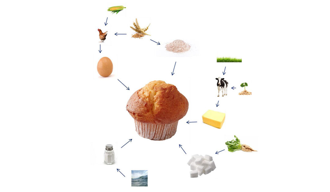 Baking Cupcakes – Sustainability Issues in Science Education