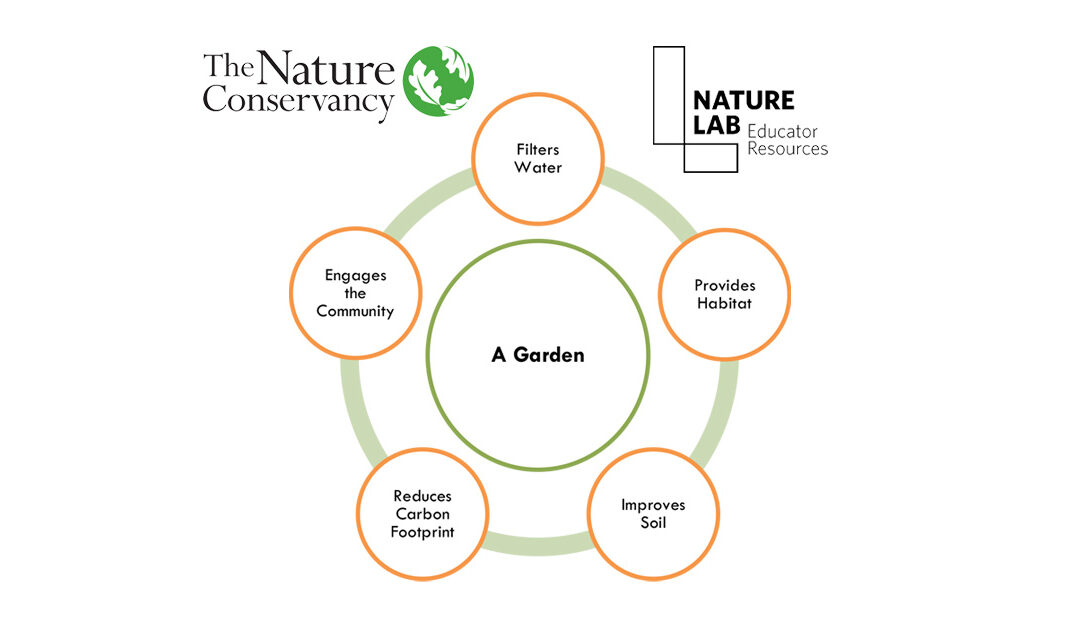 Nature Lab Garden Lesson Plan