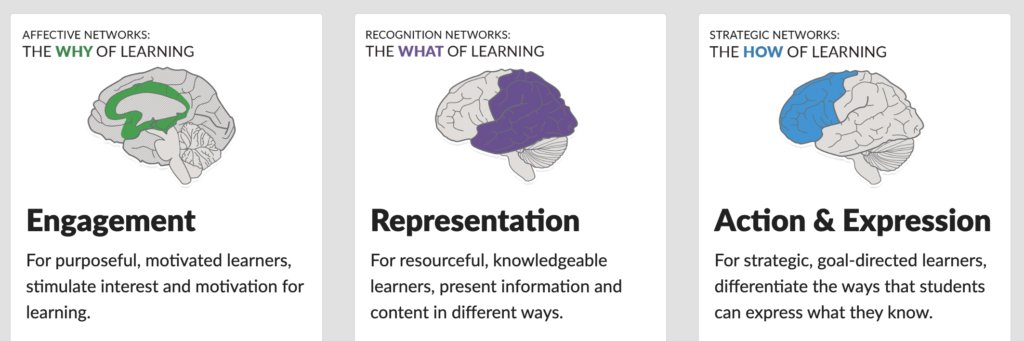 Engagement, Representation and Action¶Expression