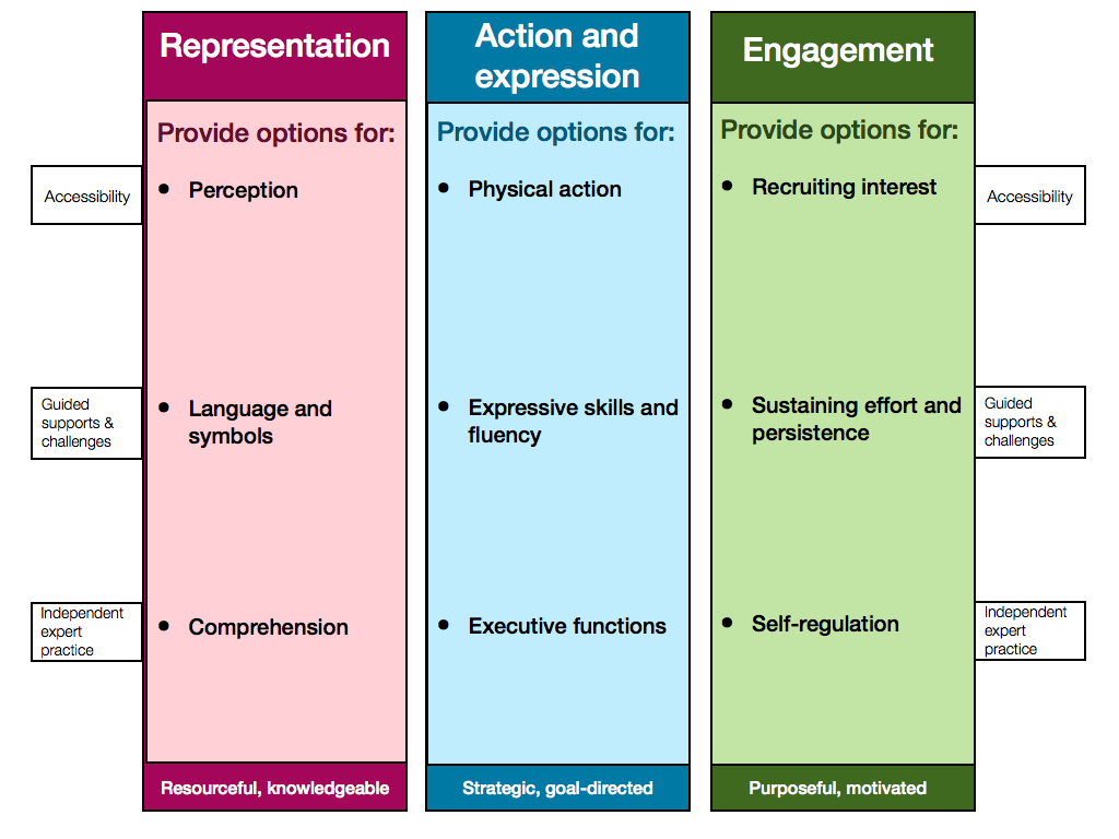 The 3 pillars of UDL: Engagement, Representation, Action and Expreession