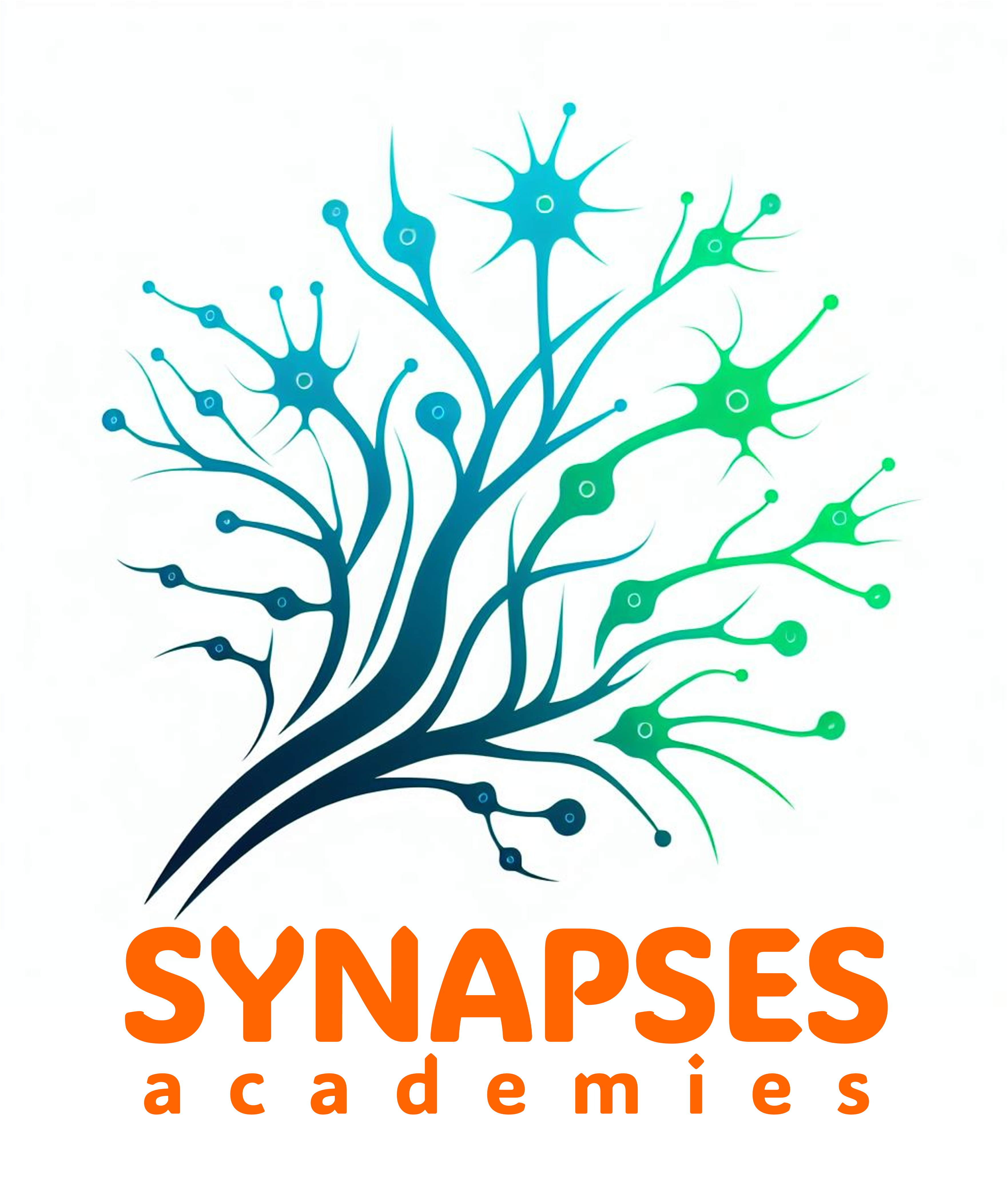 Schools Go Green with Synapses Academies – Summer School 2024