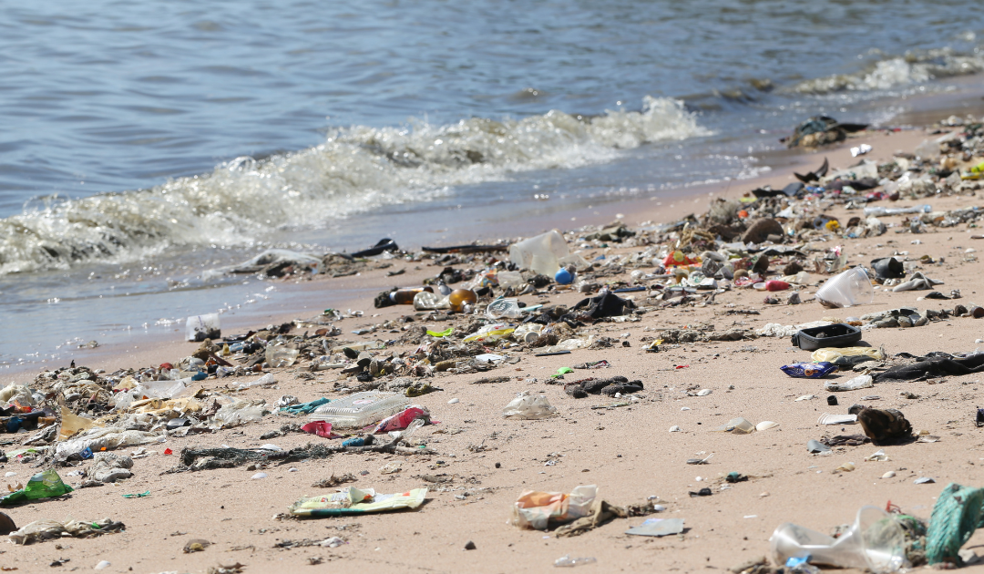 Marine Litter: “Searching for the usual suspects …at my beach”