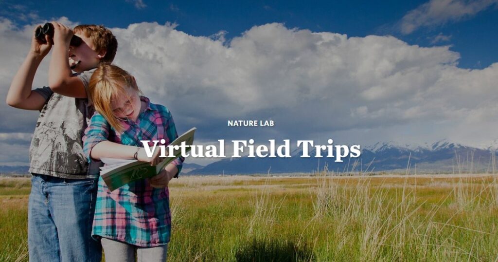 Nature Lab Virtual Field Trip