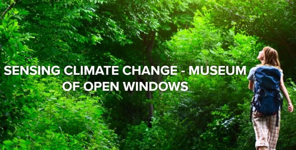 Museum of Open Windows