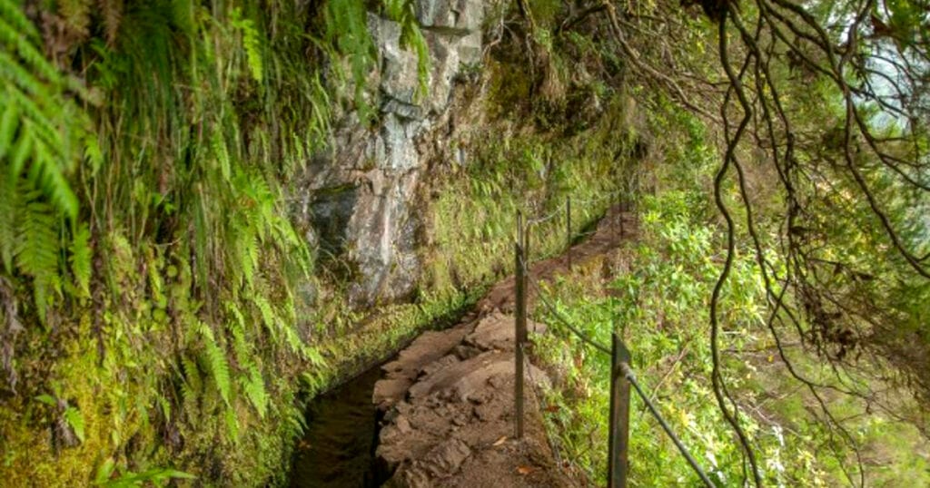 Creating a Science Trail