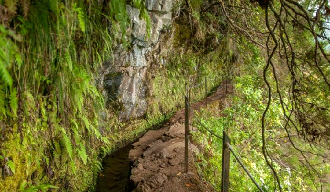 Creating a Science Trail