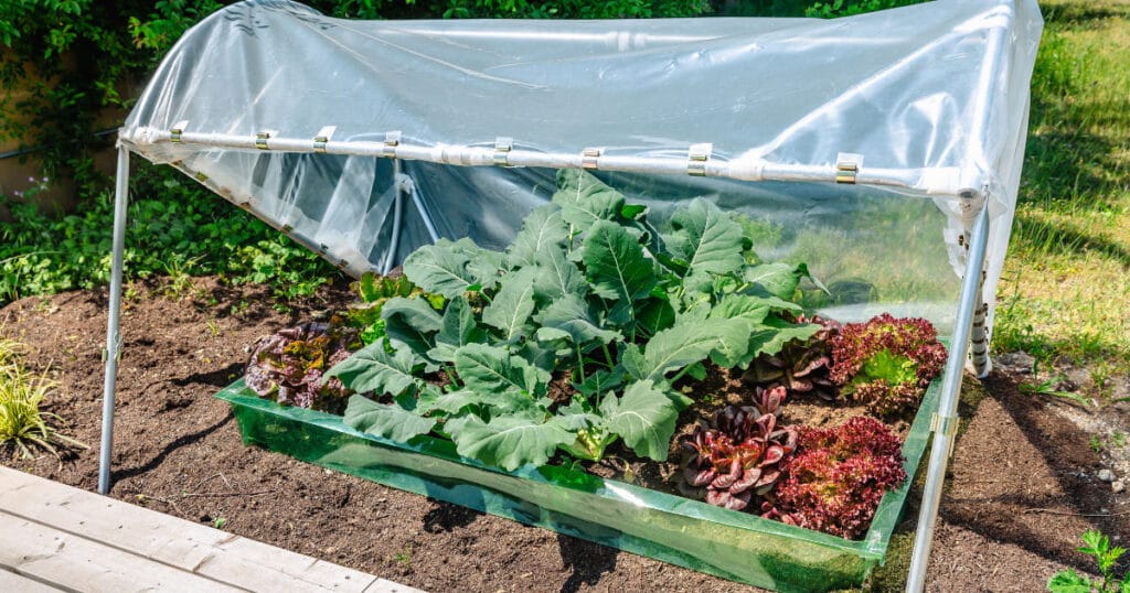 From Seed to Compost