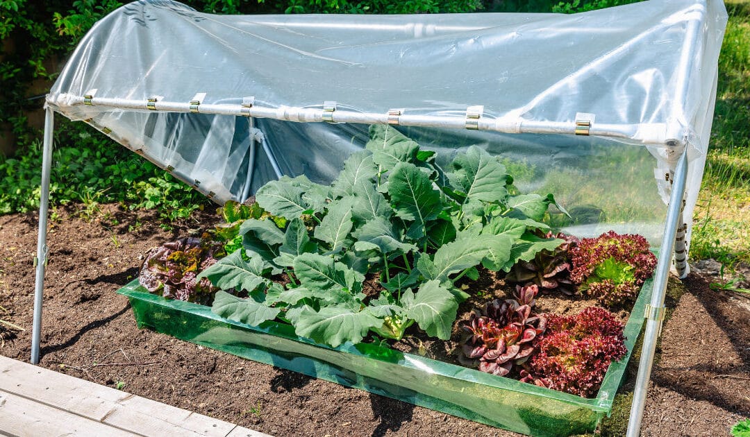 From Seed to Compost: Circulation of Matter in Nature