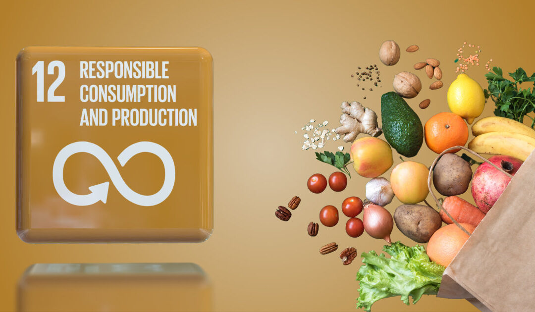 Lesson Plans on Sustainable Consumption