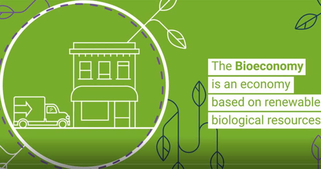 What is the Bioeconomy?