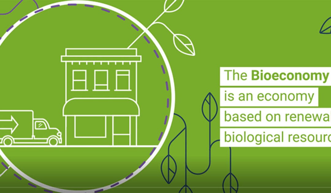 What is the Bioeconomy?